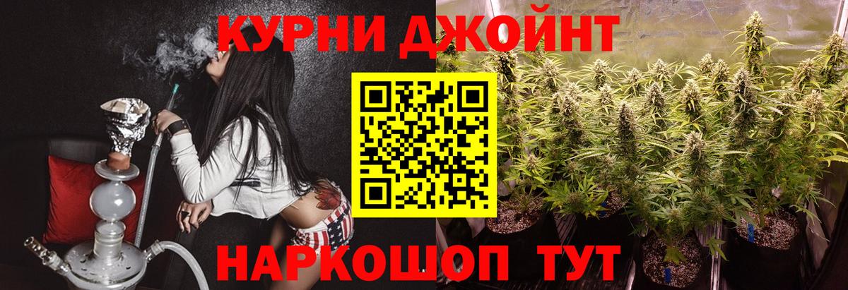 Канабис семена Вольск